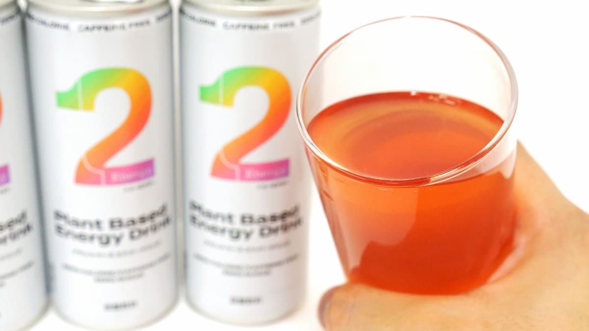Do Plant-Based Beverages Have the Potential to Be the Next Sugar-Free Drinks?
