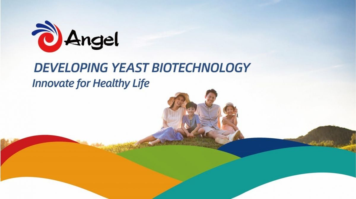 Natural Yeast Extraction: What Is Angel YE ?