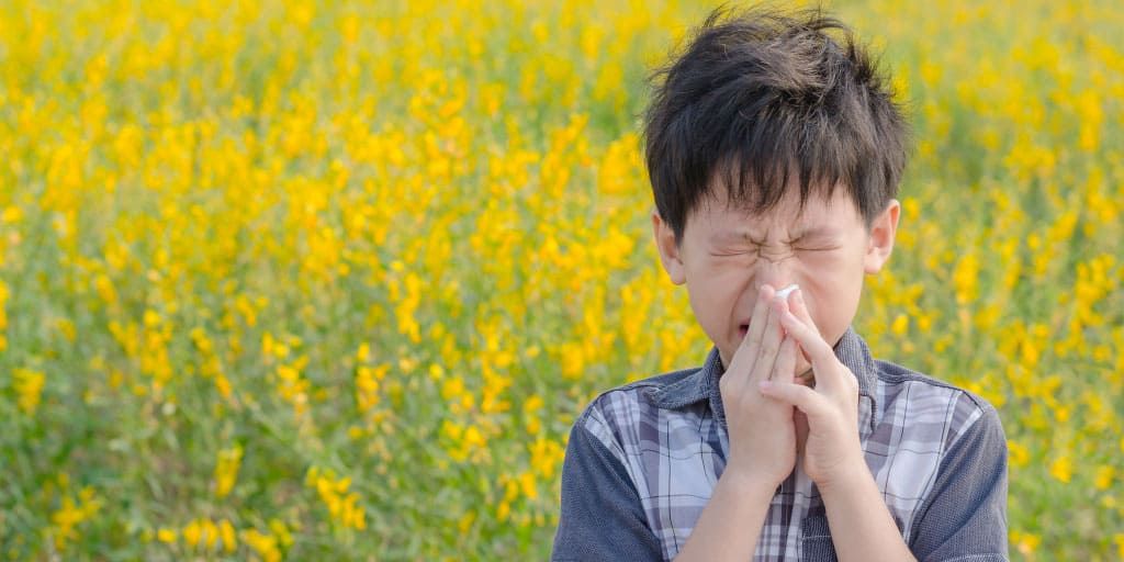 In Pollen Allergy Season: Scientific Tools for Protection and Relief